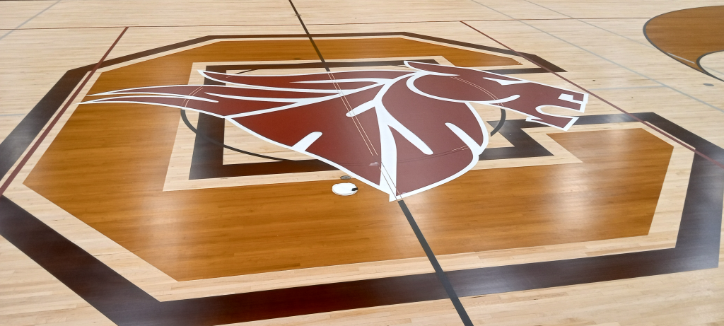 Chatfield High School Logo